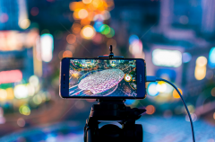 水產(chǎn)品品牌營銷策劃四要點