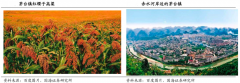 產(chǎn)業(yè)品牌建設(shè)之四大品牌體驗打造