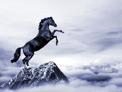 競爭戰(zhàn)略策劃之大布局企業(yè)細(xì)分三原則